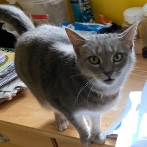 Meet your Posher, Gina